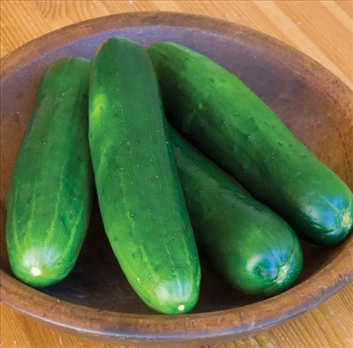 0090_20260111_1230_Burpless Beauty Cucumber Seeds.jpg